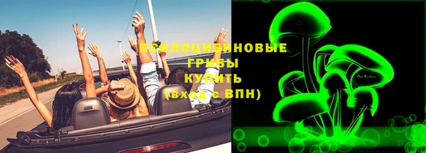 прущая мука Горно-Алтайск
