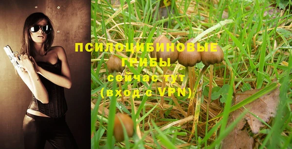 гашик Горняк