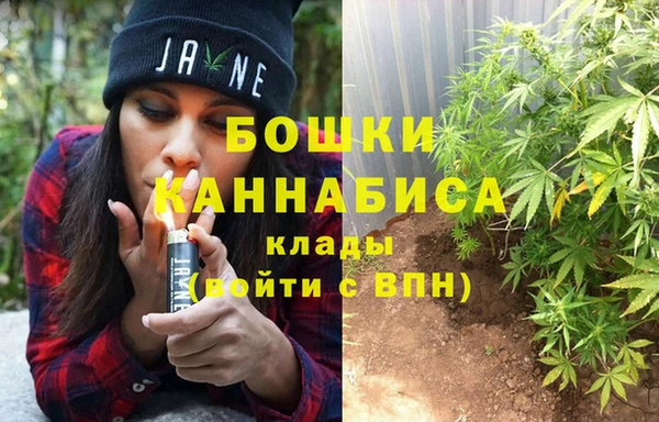 гашик Горняк