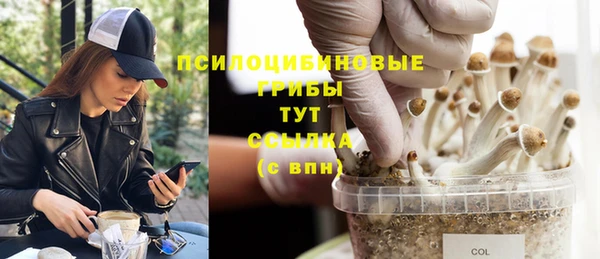 гашик Горняк