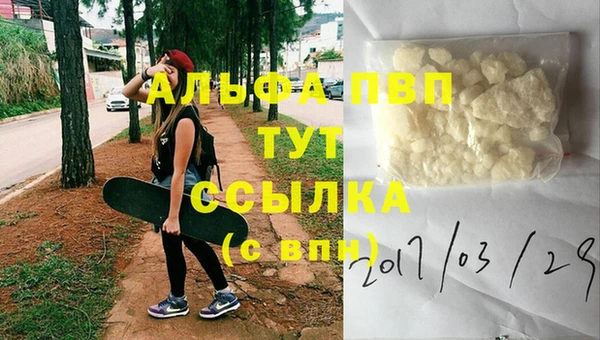 PSILOCYBIN Вяземский
