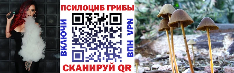 Псилоцибиновые грибы Cubensis  наркошоп  Зеленогорск 